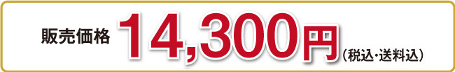 14,300円（税込・送料込）