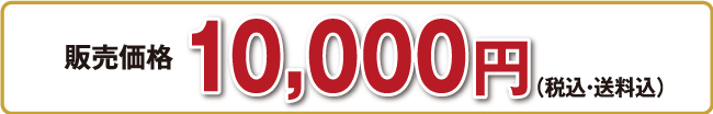 12,000円（税込・送料込）