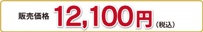 12,100円（税込・送料込）