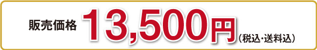13,500円（税込・送料込）