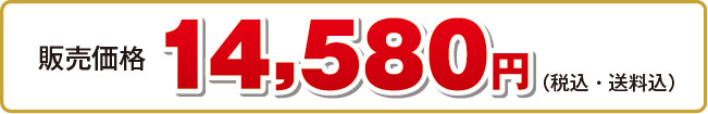 14,580円（税込・送料込）