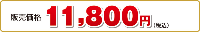 11,800円（税込・送料込）