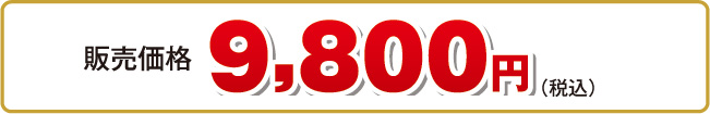 9,800円（税込・送料込）