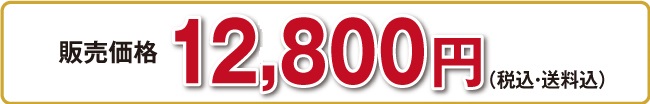 通常価格18.900円のところ15,800円（税込・送料込）