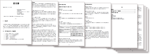 広大地判定意見書